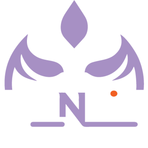 Sannin SEO Solotions logo